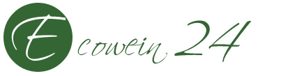 Einseiter Logo